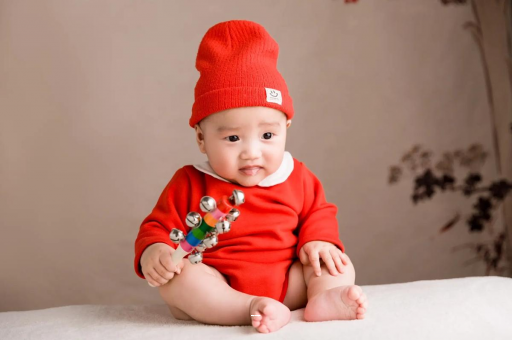 安阳宝宝餐椅哪种最实用 安阳宝宝餐椅哪种最实用